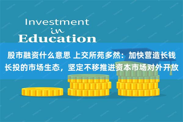 股市融资什么意思 上交所苑多然：加快营造长钱长投的市场生态，坚定不移推进资本市场对外开放