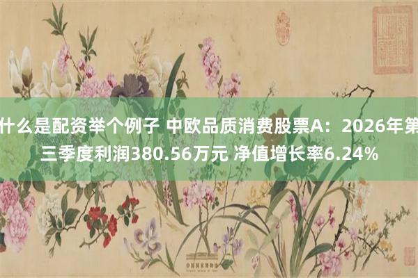 什么是配资举个例子 中欧品质消费股票A：2026年第三季度利润380.56万元 净值增长率6.24%